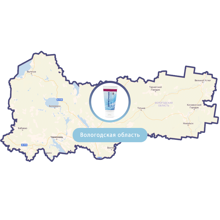 Купить Дерматизон в Вологде и Вологодской области